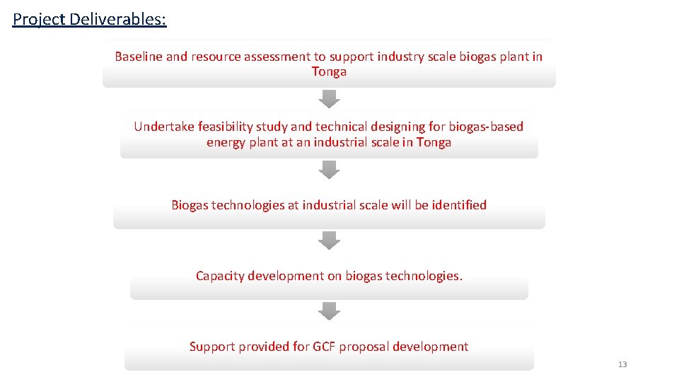 Project Deliverables: Baseline and resource assessment to support industry scale biogas plant in Tonga