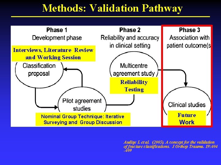 Methods: Validation Pathway Interviews, Literature Review and Working Session Reliability Testing Nominal Group Technique: