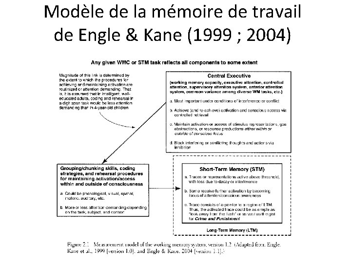Modèle de la mémoire de travail de Engle & Kane (1999 ; 2004) 