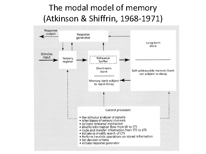 The modal model of memory (Atkinson & Shiffrin, 1968 -1971) 