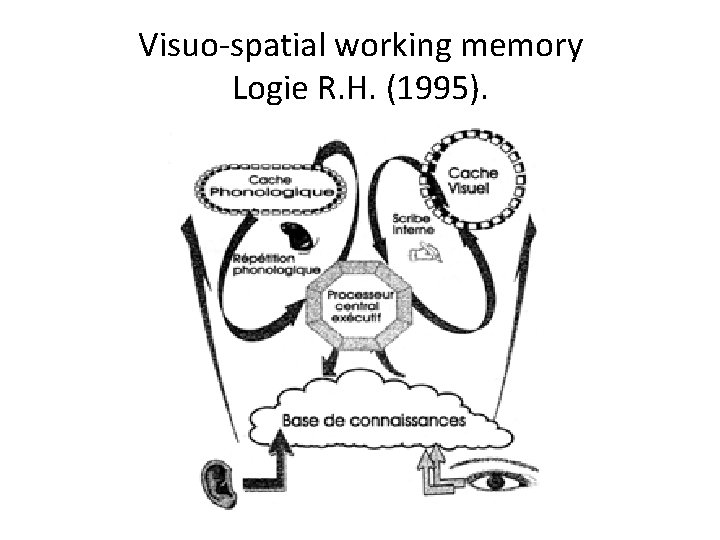 Visuo-spatial working memory Logie R. H. (1995). 