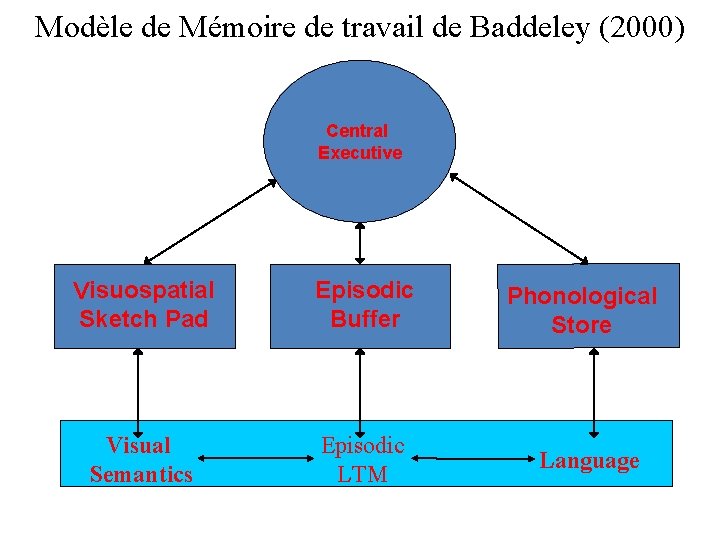 Modèle de Mémoire de travail de Baddeley (2000) Central Executive Visuospatial Sketch Pad Episodic