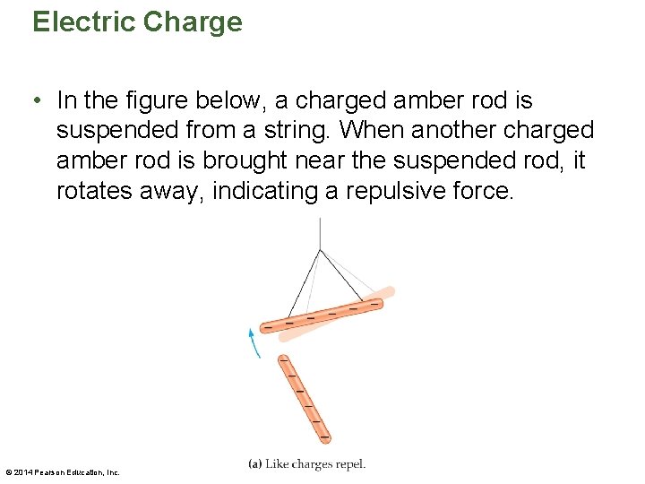 Electric Charge • In the figure below, a charged amber rod is suspended from