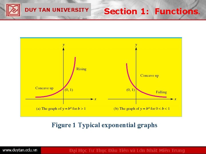 DUY TAN UNIVERSITY Section 1: Functions. Figure 1 Typical exponential graphs 