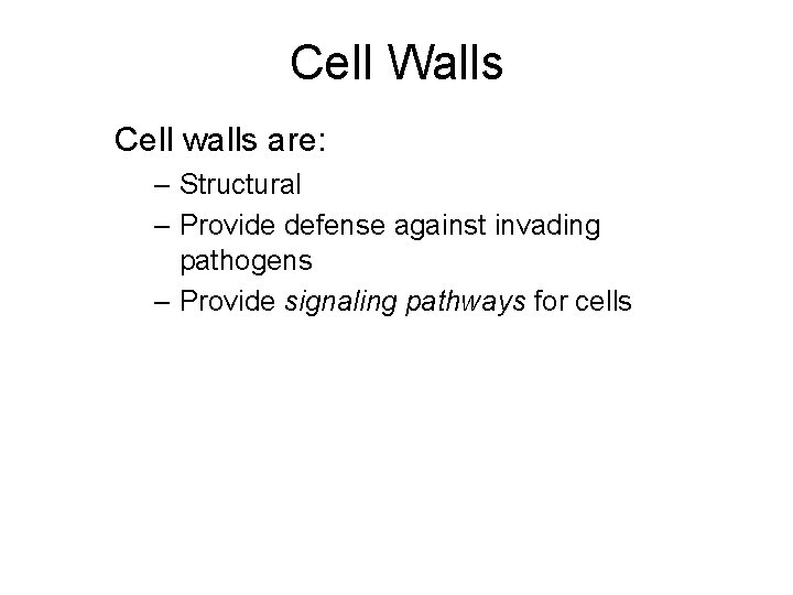 Cell Walls Cell walls are: – Structural – Provide defense against invading pathogens –