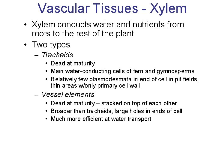 Vascular Tissues - Xylem • Xylem conducts water and nutrients from roots to the