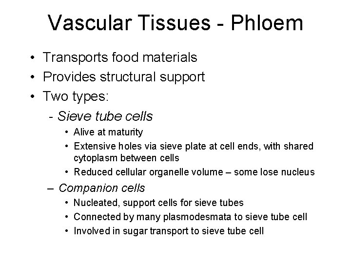 Vascular Tissues - Phloem • Transports food materials • Provides structural support • Two