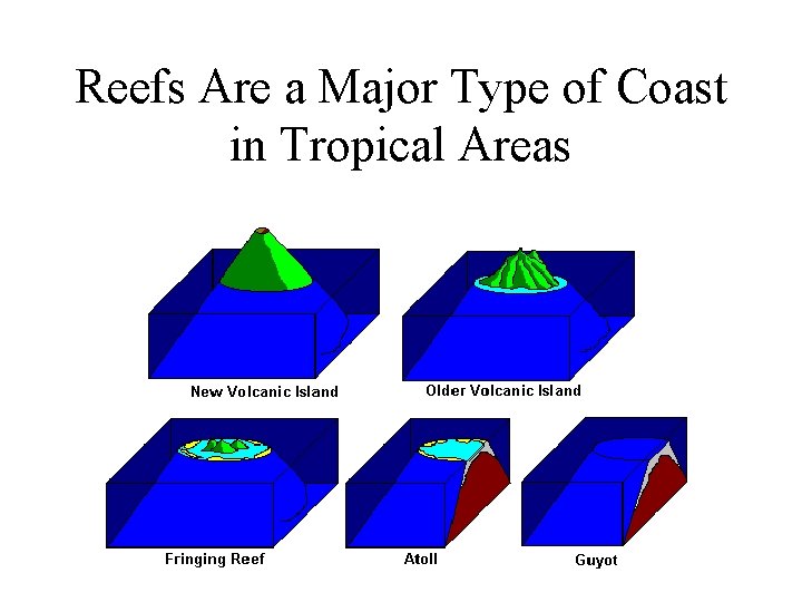 Reefs Are a Major Type of Coast in Tropical Areas Reefs Are a Major Type of Coast in Tropical Areas