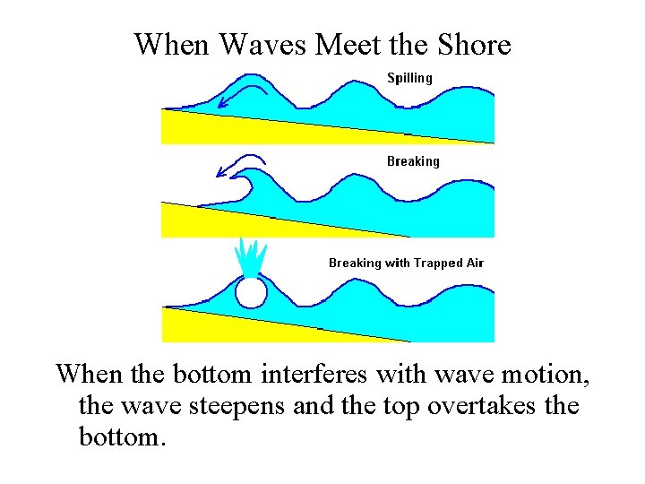 When Waves Meet the Shore When the bottom interferes with wave motion, the wave When Waves Meet the Shore When the bottom interferes with wave motion, the wave