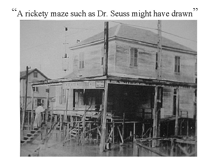 “A rickety maze such as Dr. Seuss might have drawn” “A rickety maze such as Dr. Seuss might have drawn”