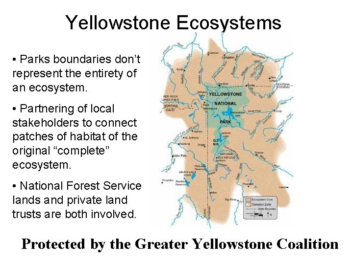 Yellowstone Ecosystems • Parks boundaries don’t represent the entirety of an ecosystem. • Partnering