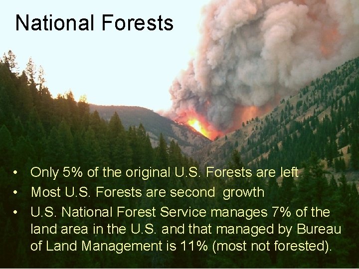 National Forests • Only 5% of the original U. S. Forests are left •