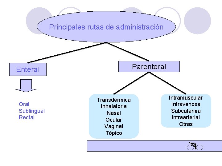 Principales rutas de administración Parenteral Enteral Oral Sublingual Rectal Transdérmica Inhalatoria Nasal Ocular Vaginal Principales rutas de administración Parenteral Enteral Oral Sublingual Rectal Transdérmica Inhalatoria Nasal Ocular Vaginal