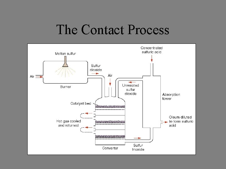 The Contact Process 