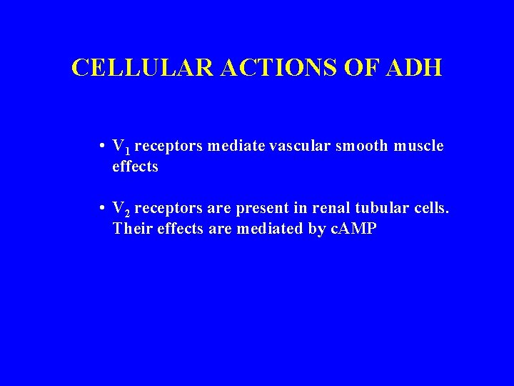 CELLULAR ACTIONS OF ADH • V 1 receptors mediate vascular smooth muscle effects •