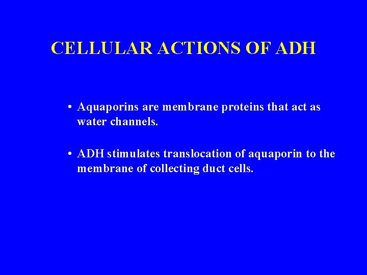 CELLULAR ACTIONS OF ADH • Aquaporins are membrane proteins that act as water channels.