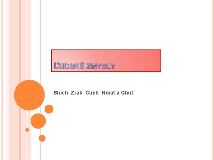 ĽUDSKÉ ZMYSLY Sluch Zrak Čuch Hmat a Chuť 