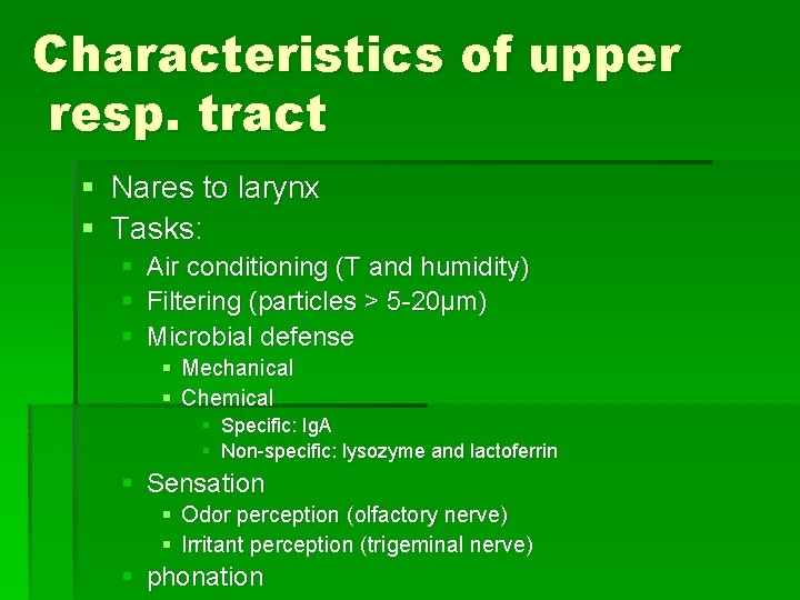 Characteristics of upper resp. tract § Nares to larynx § Tasks: § § §