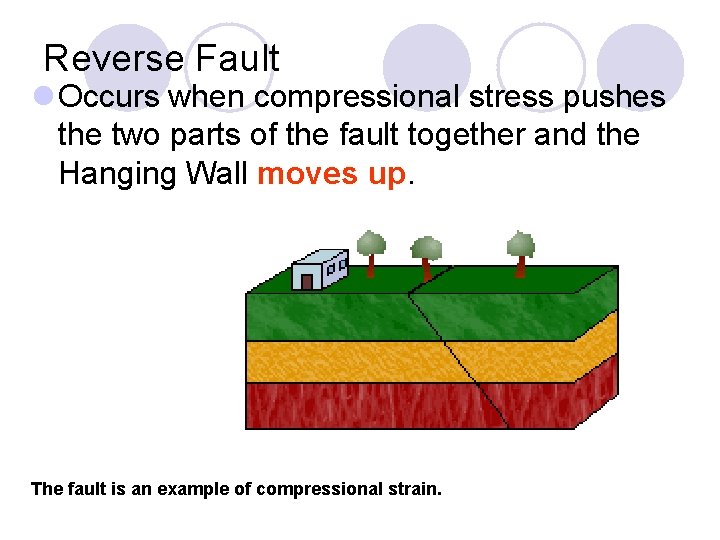 Reverse Fault l Occurs when compressional stress pushes the two parts of the fault