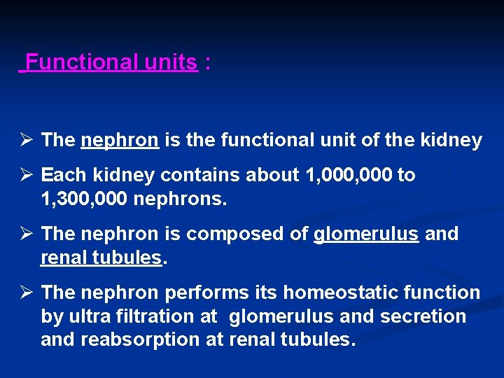 Functional units : Ø The nephron is the functional unit of the kidney Ø