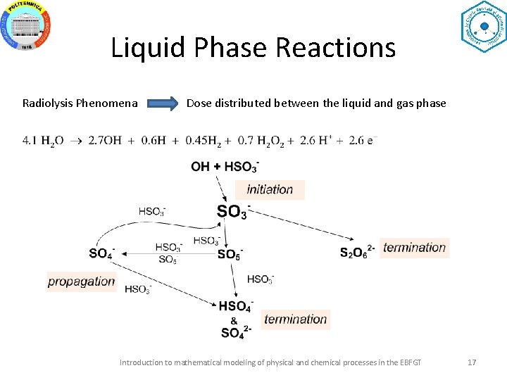 Liquid Phase Reactions Radiolysis Phenomena Dose distributed between the liquid and gas phase Introduction