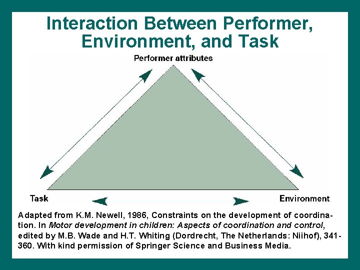 Interaction Between Performer, Environment, and Task Adapted from K. M. Newell, 1986, Constraints on Interaction Between Performer, Environment, and Task Adapted from K. M. Newell, 1986, Constraints on