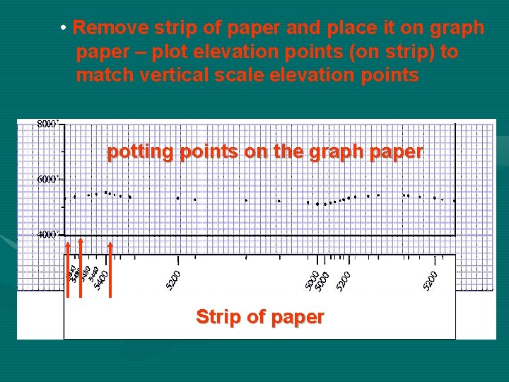  • Remove strip of paper and place it on graph paper – plot