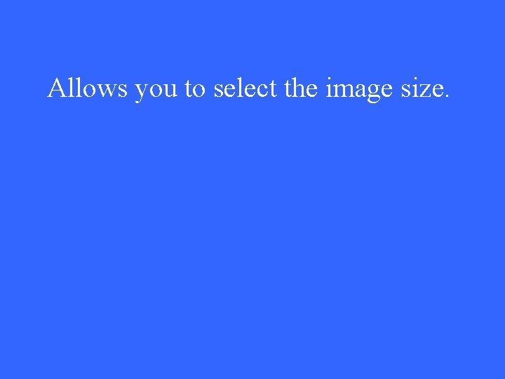 Allows you to select the image size. 