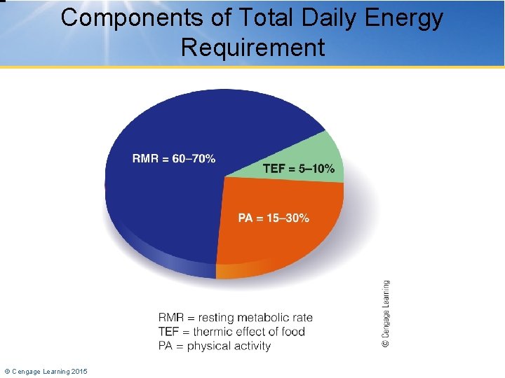 Components of Total Daily Energy Requirement © Cengage Learning 2015 