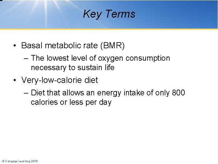 Key Terms • Basal metabolic rate (BMR) – The lowest level of oxygen consumption