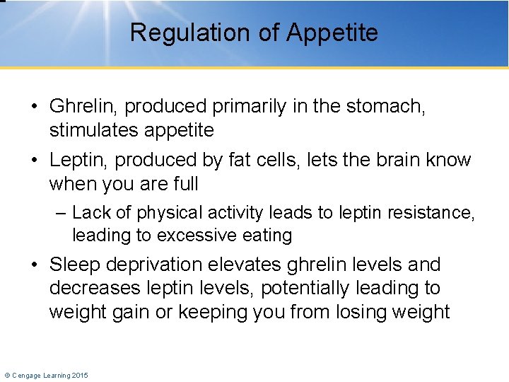 Regulation of Appetite • Ghrelin, produced primarily in the stomach, stimulates appetite • Leptin,