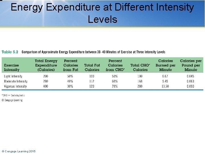 Energy Expenditure at Different Intensity Levels © Cengage Learning 2015 