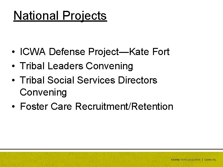 National Projects • ICWA Defense Project—Kate Fort • Tribal Leaders Convening • Tribal Social