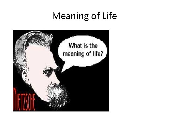 Meaning of Life 