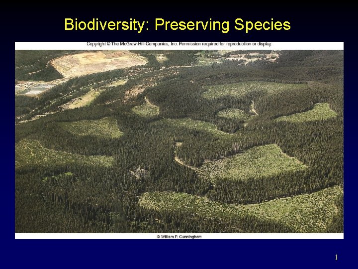 Biodiversity: Preserving Species 1 