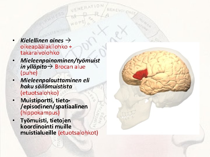  • Kielellinen aines oikeapäälakilohko + takaraivolohko • Mieleenpainaminen/työmuist in ylläpito Brocan alue (puhe)