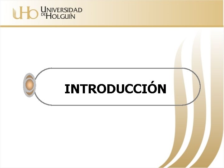 INTRODUCCIÓN 