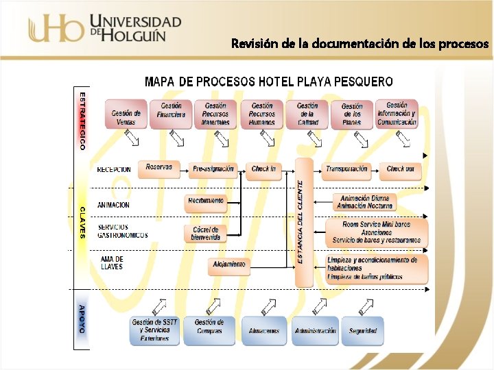 Revisión de la documentación de los procesos 