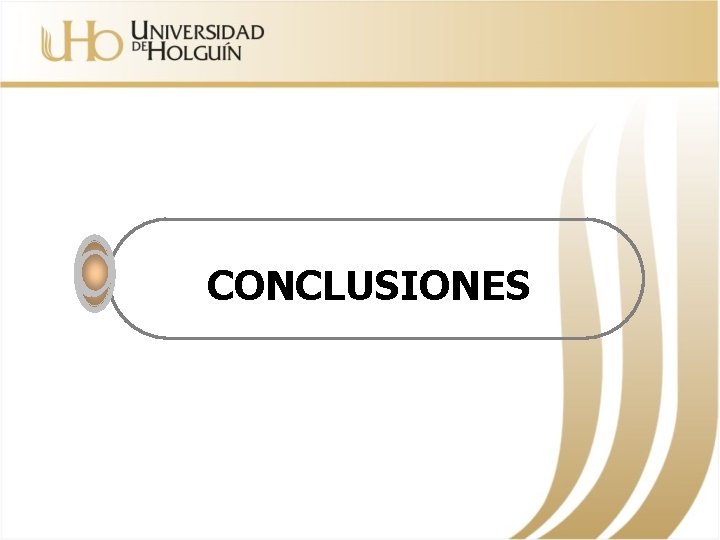 CONCLUSIONES 