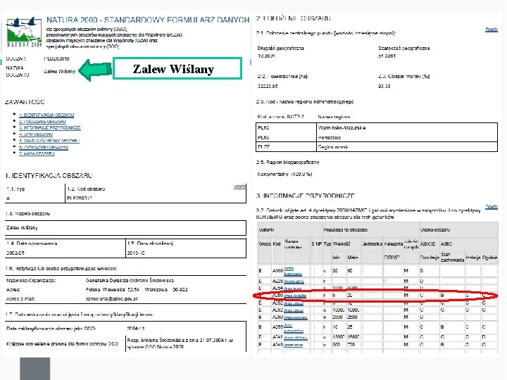 Zalew Wiślany 