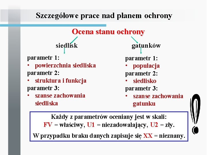 Szczegółowe prace nad planem ochrony Ocena stanu ochrony siedlisk parametr 1: • powierzchnia siedliska