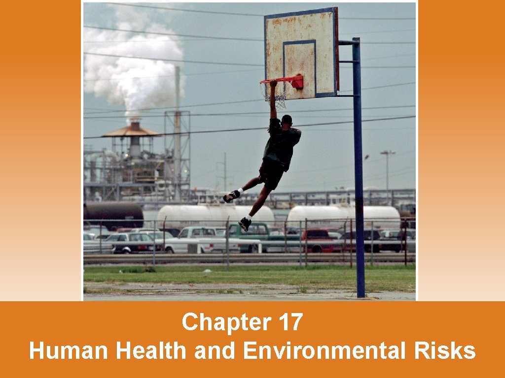 Chapter 17 Human Health and Environmental Risks 