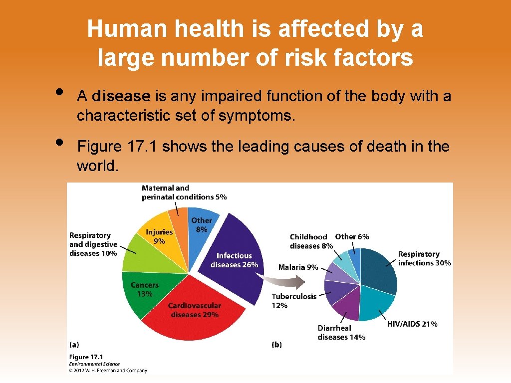 Human health is affected by a large number of risk factors • • A