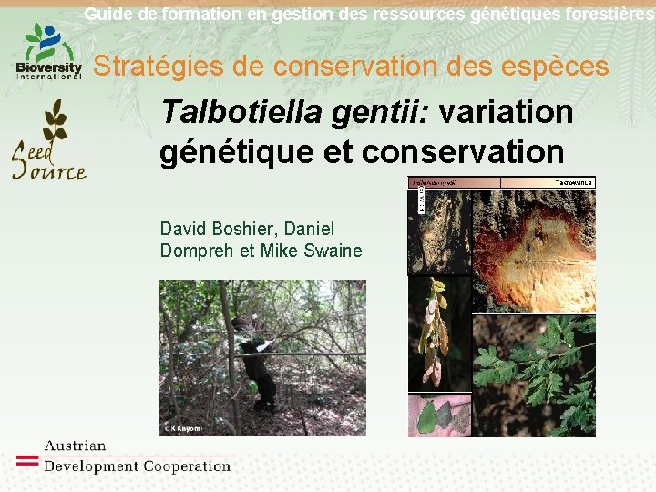 Guide de formation en gestion des ressources génétiques forestières Stratégies de conservation des espèces