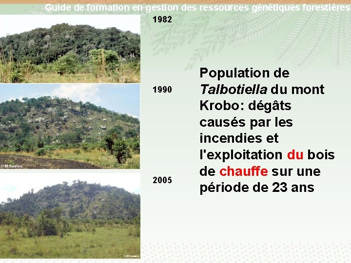 Guide de formation en gestion des ressources génétiques forestières 1982 1990 2005 Population de