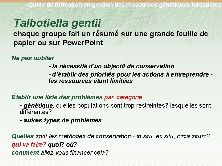 Guide de formation en gestion des ressources génétiques forestières Talbotiella gentii chaque groupe fait