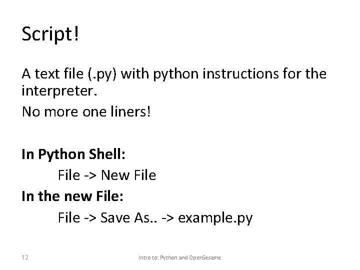 Script! A text file (. py) with python instructions for the interpreter. No more