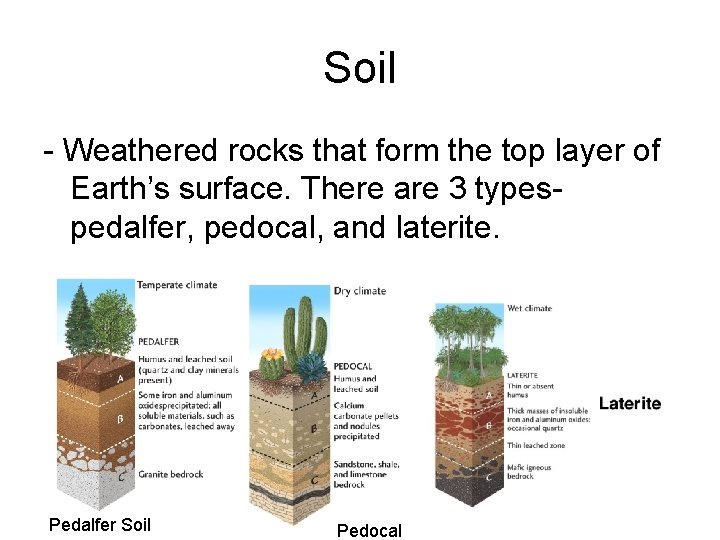 Soil - Weathered rocks that form the top layer of Earth’s surface. There are