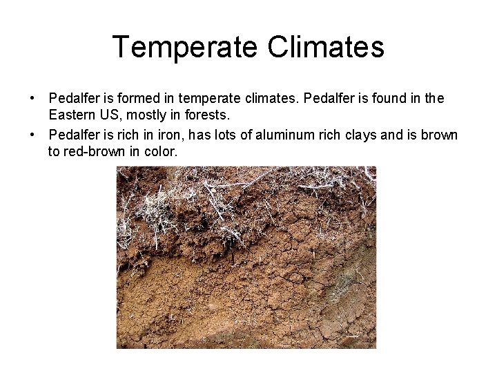 Temperate Climates • Pedalfer is formed in temperate climates. Pedalfer is found in the