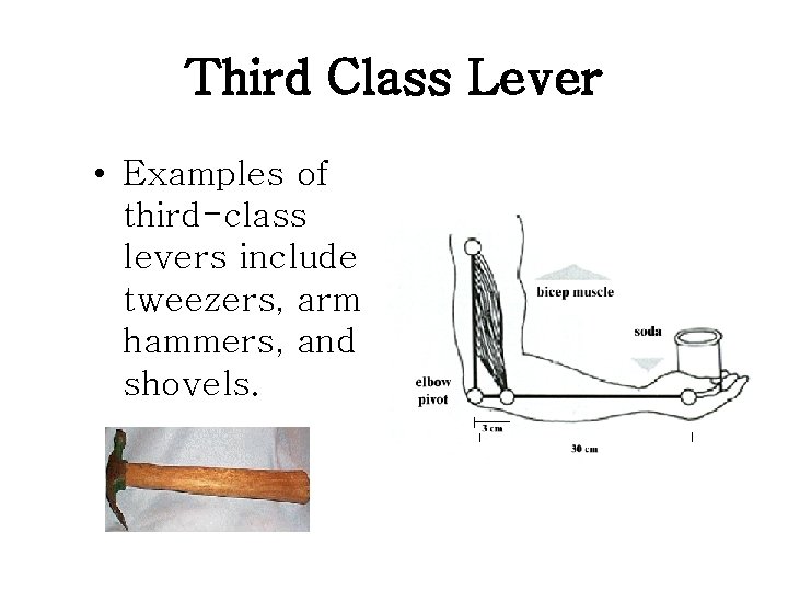 Third Class Lever • Examples of third-class levers include tweezers, arm hammers, and shovels. Third Class Lever • Examples of third-class levers include tweezers, arm hammers, and shovels.